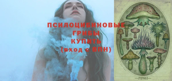 ПСИЛОЦИБИНОВЫЕ ГРИБЫ Абинск