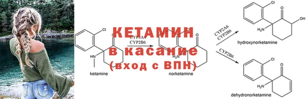 дмт Абаза