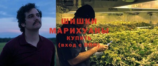 шишки Алзамай