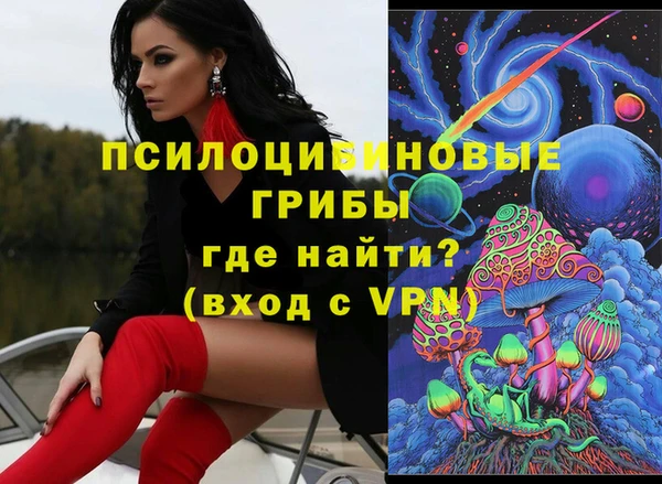 дмт Абаза