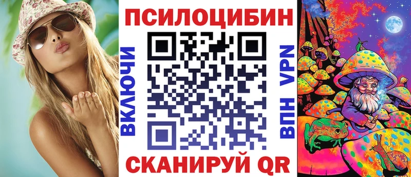 Галлюциногенные грибы Psilocybe  mega ссылка  Змеиногорск 